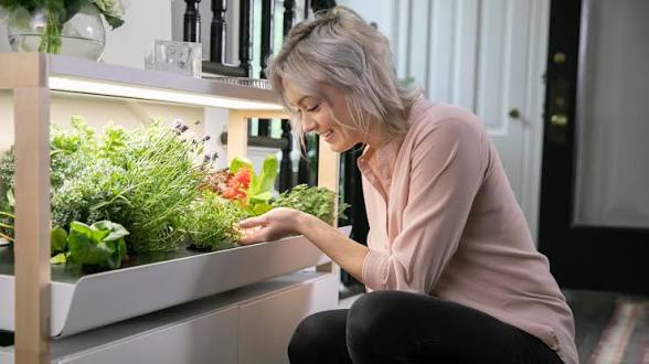 The Coming Shift in Smart Farms: Practical Paths to Smarter Gardens